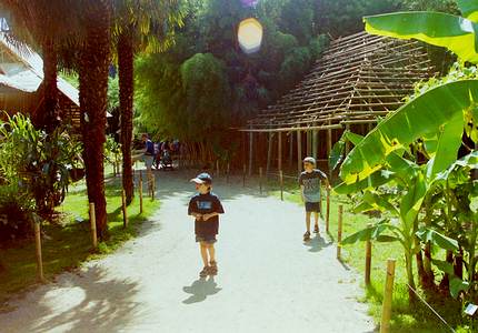 Parc and botanical garden "La Bambouseraie"