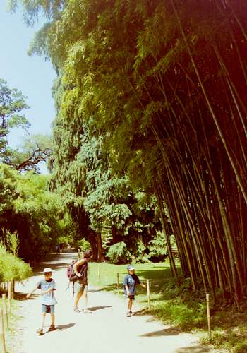 Parc and botanical garden "La Bambouseraie"