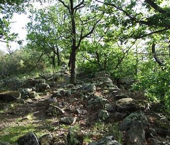 Dolmen von Grande-Pallières