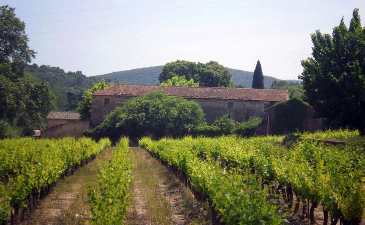Weingut und Weinanbau in der Nähe von La Roque-sur-Cèze
