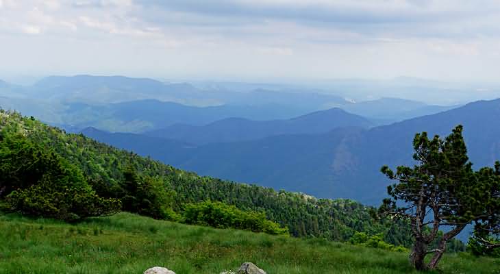 Mont Aigoual