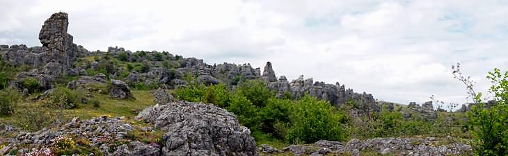 Nîmes-le-Vieux