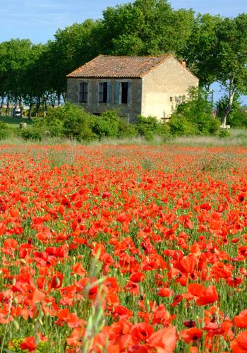 Landschaft in der Provence