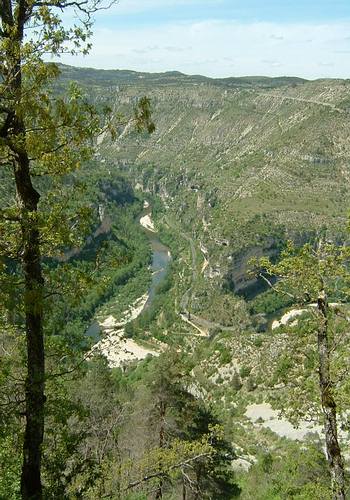 Gorge du Tarn