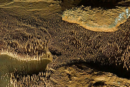 Höhlen von Trabuc