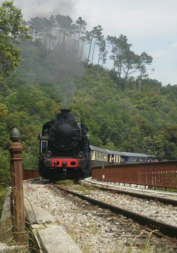 Train a Vapeur des Cévennes